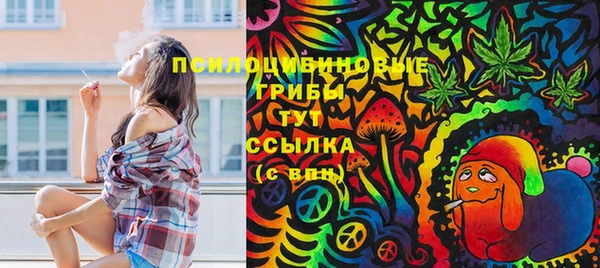 соль курить ск Алексин
